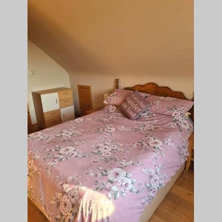 Breathneach House Villa Limerick Junction Exteriör bild